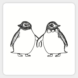 Penguins from Antarctica Sticker